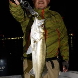 Marine T Design　マリンティーデザイン 釣果