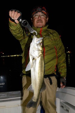 Marine T Design　マリンティーデザイン 釣果