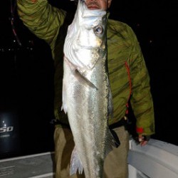 Marine T Design　マリンティーデザイン 釣果