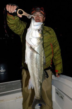 Marine T Design　マリンティーデザイン 釣果