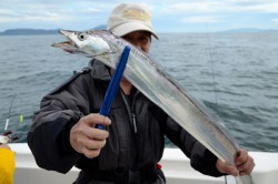 Marine T Design　マリンティーデザイン 釣果