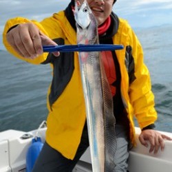 Marine T Design　マリンティーデザイン 釣果