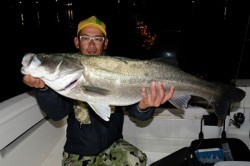 Marine T Design　マリンティーデザイン 釣果