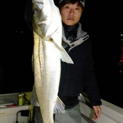 Marine T Design　マリンティーデザイン 釣果