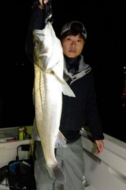 Marine T Design　マリンティーデザイン 釣果