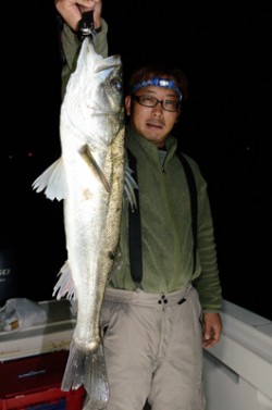 Marine T Design　マリンティ…