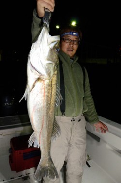 Marine T Design マリンティーデザイン 釣果