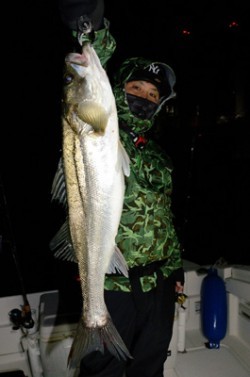 Marine T Design　マリンティーデザイン 釣果