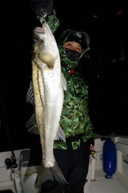 Marine T Design　マリンティ…