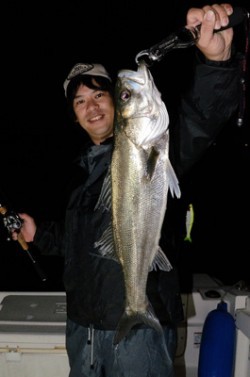 Marine T Design　マリンティーデザイン 釣果