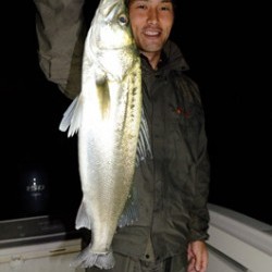 Marine T Design　マリンティーデザイン 釣果