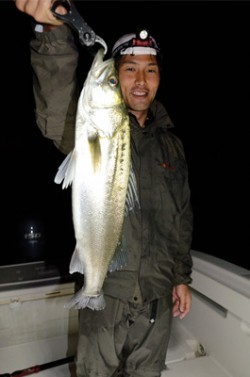 Marine T Design　マリンティーデザイン 釣果