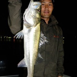 Marine T Design　マリンティーデザイン 釣果