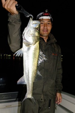 Marine T Design　マリンティーデザイン 釣果