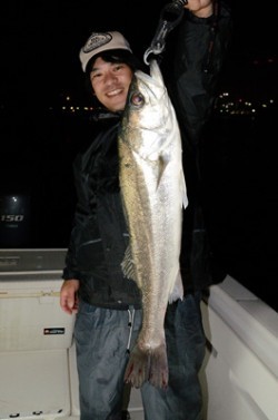 Marine T Design　マリンティーデザイン 釣果