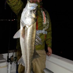 Marine T Design　マリンティーデザイン 釣果