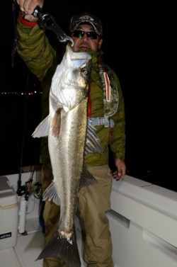 Marine T Design　マリンティーデザイン 釣果