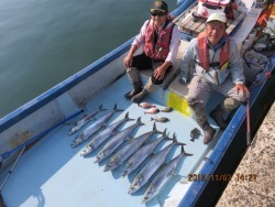 長崎大村湾 第一あさかぜ 釣果 関東 キャスティング トップ サワラ ジギング船 釣り船 釣果情報サイト カンパリ