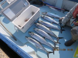 長崎大村湾　第一あさかぜ 釣果