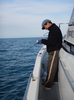 sea boss　シーボス 釣果