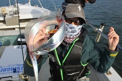 松本釣船２ 釣果