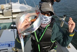 松本釣船２ 釣果