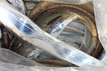 松本釣船２ 釣果