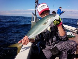 MATSUSHIMA SEANET 釣果