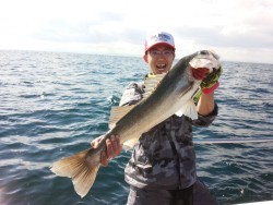 MATSUSHIMA SEANET 釣果