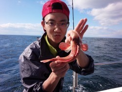 MATSUSHIMA SEANET 釣果