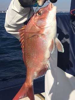 ゲームフィッシング バレントン 釣果