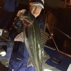 ゲームフィッシング バレントン 釣果