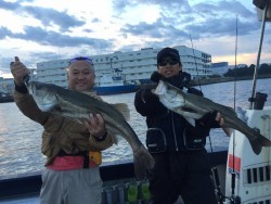 ゲームフィッシング バレントン 釣果