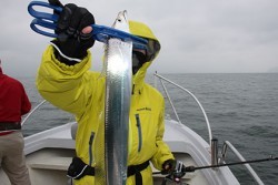 松本釣船２ 釣果