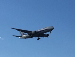 ゲームフィッシング バレントン 釣果