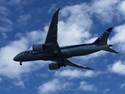 ゲームフィッシング バレントン 釣果