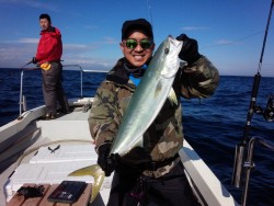 MATSUSHIMA SEANET 釣果