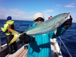 MATSUSHIMA SEANET 釣果