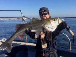 ゲームフィッシング バレントン 釣果