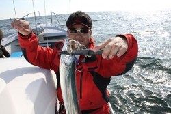 松本釣船２ 釣果