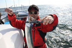 松本釣船２ 釣果