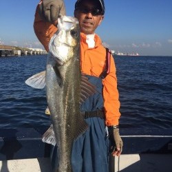 ゲームフィッシング バレントン 釣果