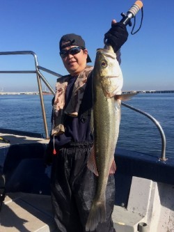 ゲームフィッシング バレントン 釣果