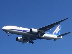 ゲームフィッシング バレントン 釣果