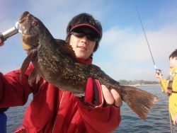 MATSUSHIMA SEANET 釣果