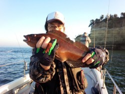 MATSUSHIMA SEANET 釣果