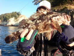 MATSUSHIMA SEANET 釣果