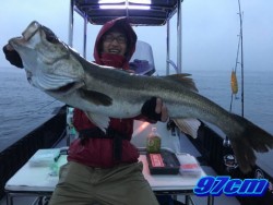 オーシャンマスター 釣果