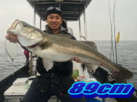 オーシャンマスター 釣果