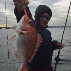 ゲームフィッシング バレントン 釣果